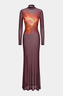 Abstract Floral Print Mesh Sheer Long Sleeve Maxi Dress