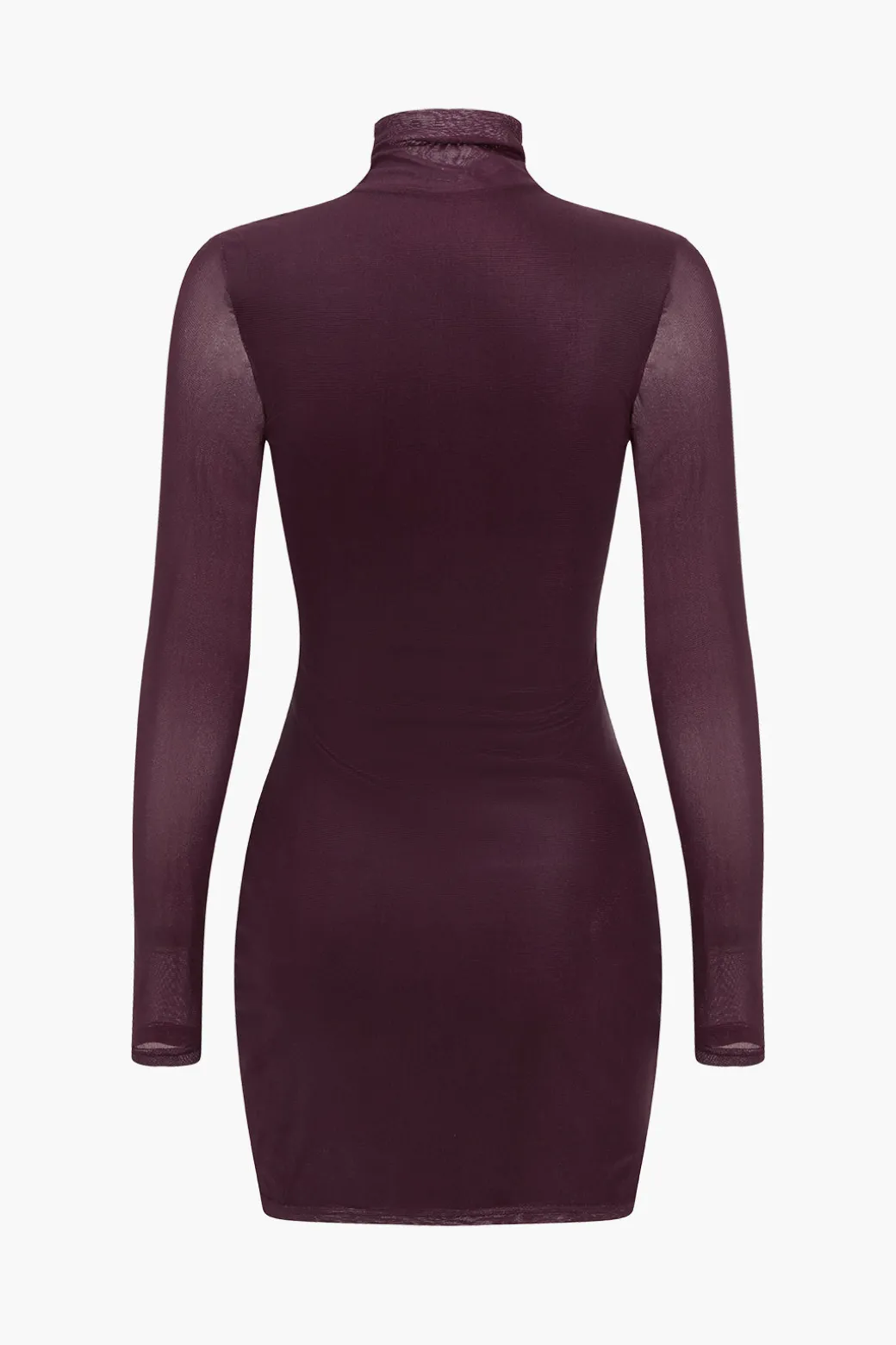Basic Mesh Long Sleeve Mini Dress