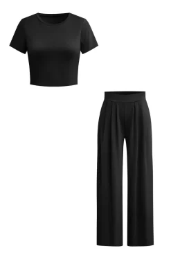 Basic Solid Crop T-shirt And Pleated High Waist Wide Leg Pants Set