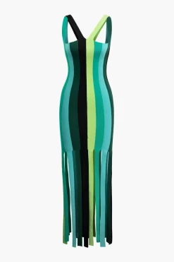 Colorblock Fringe Hem Sleeveless Knit Dress