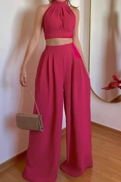 Halter Neck Backless Top And Pleated Pants Set