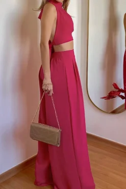 Halter Neck Backless Top And Pleated Pants Set