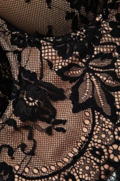 Hook And Eye Lace Bustier Cami Top