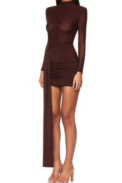 Mesh Ruched Long Sleeve Mini Dress