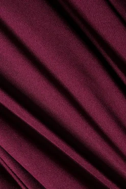 Ruched Long Sleeve V-Neck Maxi Dress