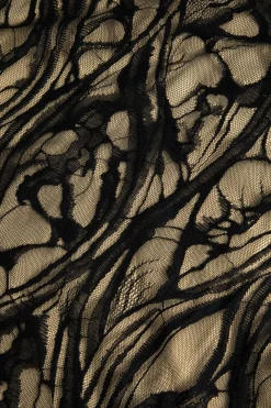 Sheer Lace Embroidered Slip Maxi Dress