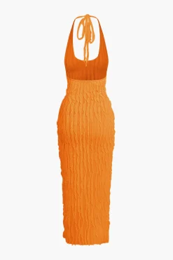 Sheer Ruffle Texture Halter Backless Maxi Dress