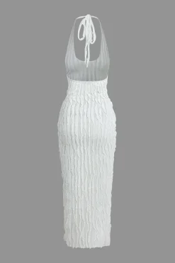 Sheer Ruffle Texture Halter Backless Maxi Dress