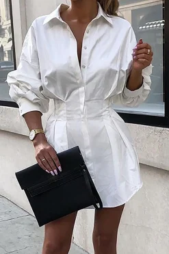 Solid Ruched Long Sleeve Mini Dress